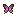 Animated butterfly pixel